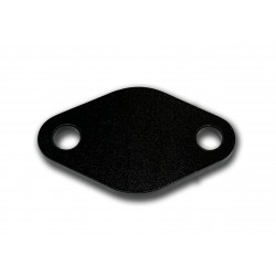 EGR81EXH  -  EGR Pipe Block Off Plate (Exhaust Manifold) 8.1L