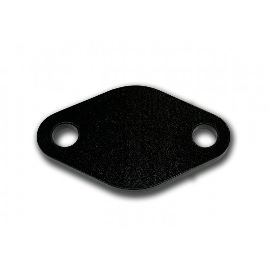 EGR81EXH  -  EGR Pipe Block Off Plate (Exhaust Manifold) 8.1L