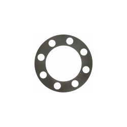 W8832875  -  Gasket - Rear Axle Shaft (JB8 - Disc/Drum)