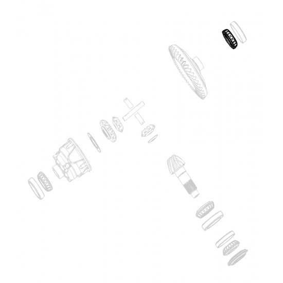 W8000106  -  Bearing Cone Asm - Differential