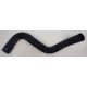15958027 - Lower Radiator Hose P32