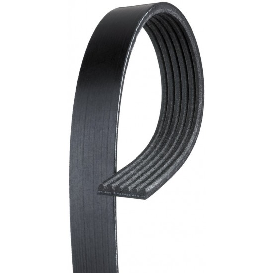 W8800309  -  Belt- Fan, Water Pump, Alternator, P/S Pump (L31 - 5.7L)