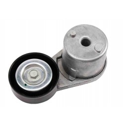 W8832437  -  Workhorse Automatic Belt Tensioner with Pulley (L18 - 8.1L)