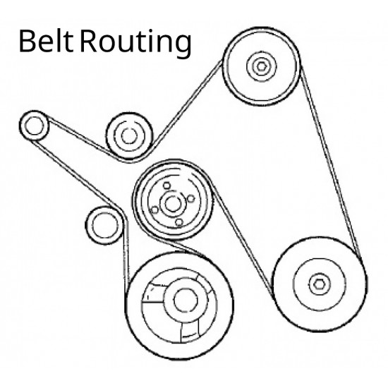 W8831715  -  Workhorse W-Series 8.1L Serpentine Drive Belt W8831715  -  Workhorse W-Series 8.1L Serpentine Drive Belt