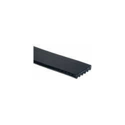 W0002987  -  Belt - Fan, Water Pump, Alternator, Power Steering (4.8L & 6.0L w/ 145A Alternator)