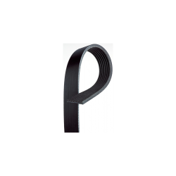 W0007635  -  Belt - Fan & Water Pump