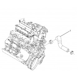 W0009927  -  Hose - Radiator Lower Outlet (LR4 - 4.8L & LQ4 - 6.0L)