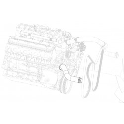 W0012209  -  Hose - Radiator Outlet Lower (LY6/LY2)