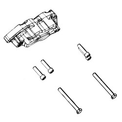 W8002401  -  Kit - Caliper Screws for 1 Caliper (68mm Brembo)