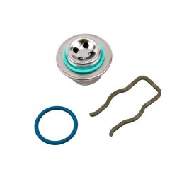 12575013  -  Fuel Pulse Dampener Kit