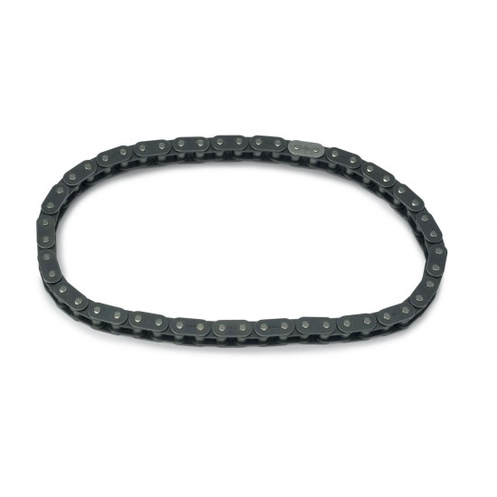 10114177  -  Chain Asm - Timing (7.4L & 8.1L) 10114177  -  Chain Asm - Timing (7.4L & 8.1L)