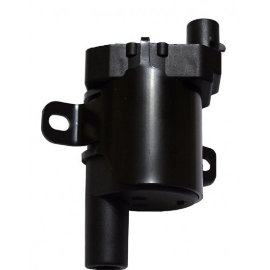19418992  -  Ignition Coil (LR4 - 4.8L & LQ4 - 6.0L)