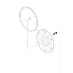 11609297  -  Flywheel Bolt