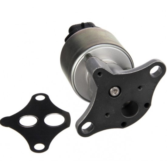 12576918  -  EGR Valve Asm (L35 4.3L & L31 5.7L)