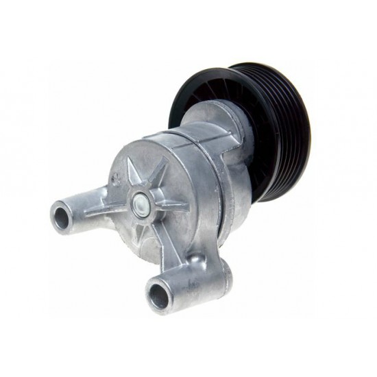 W8830943  -  Drive Belt Tensioner Asm (4.8L & 6.0L)