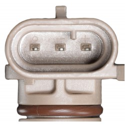 W8832954  -  8.1L/6.0L Camshaft Position Sensor 2004-2011