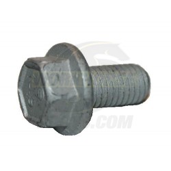 11570082  -  8.1l Exhaust Manifold Bolt M8 X 1.25 (Dipstick Tube Location)