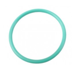 25166292  -  Seal - Fuel Sender (O-Ring) 