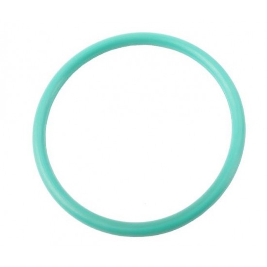 25166292  -  Seal - Fuel Sender (O-Ring) 