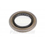 12387291 - Differential Pinion Seal