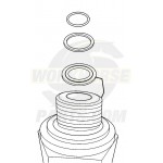 W8005779 - Power Steering Pump Hose Adapter Kit