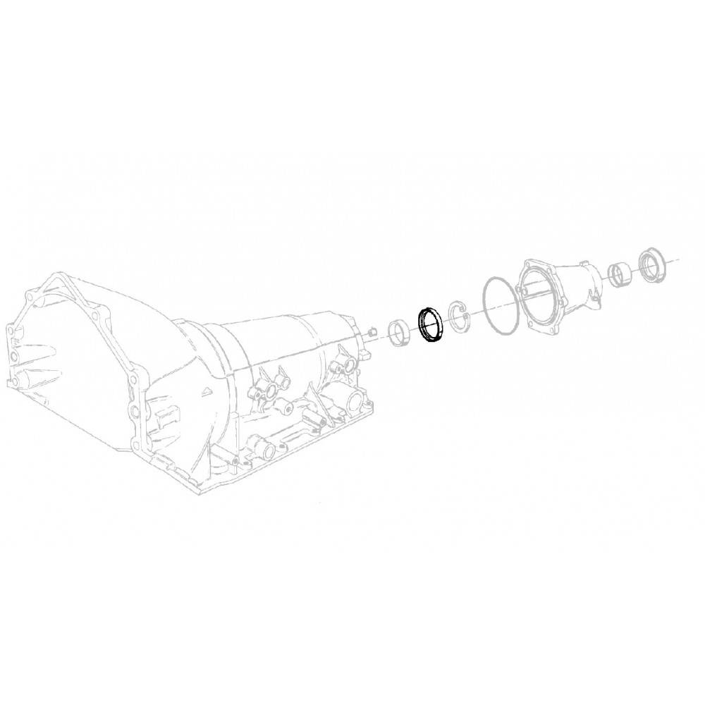 Automatic Transmission Rear Output Shaft Seal - M (08677463