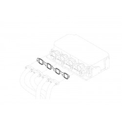 W8839409  -  8.1L Exhaust Manifold Gasket