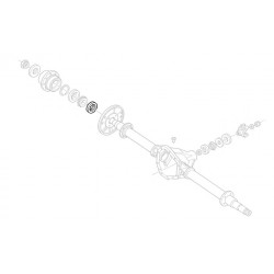 W8810206  -  Oil Seal - Rear Wheel (Disc/Drum)